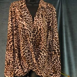 Perfect blouse for all occasions- draping over tummy, long sleeved, v neck.